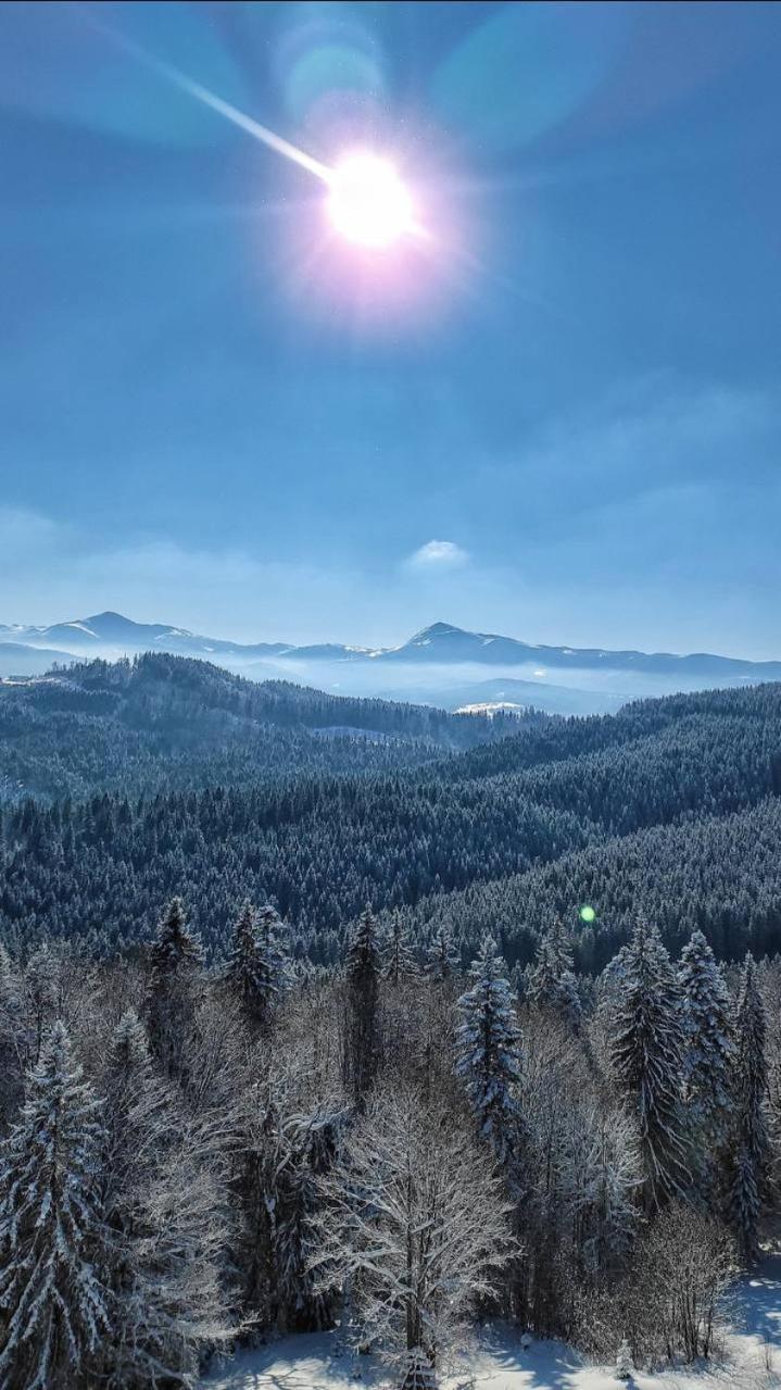 Vershyna Nagy-Mencsely Kültér fotó